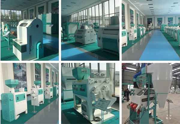 bean peeling machine exhibition hall.jpg