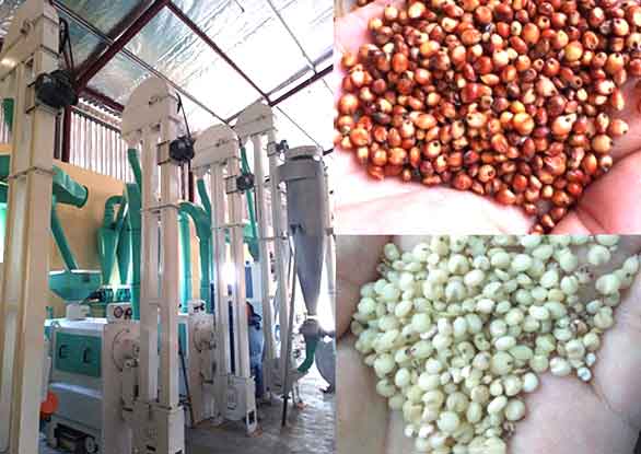 Sorghum Processing Equipment