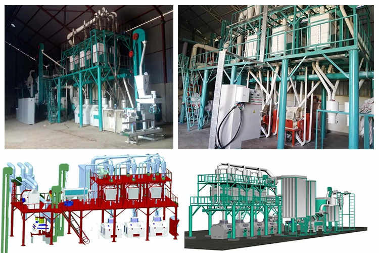 50T/24H maize milling machine