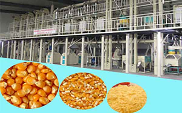 corn processing line canton fair.jpg