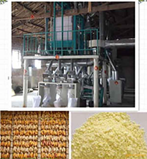 corn processing equipment.jpg