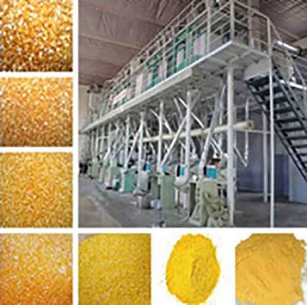 corn processing equipment 200.jpg