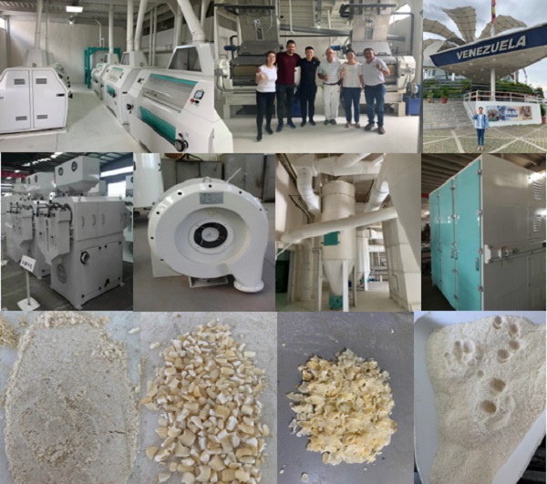 precooked corn flour machine.jpg