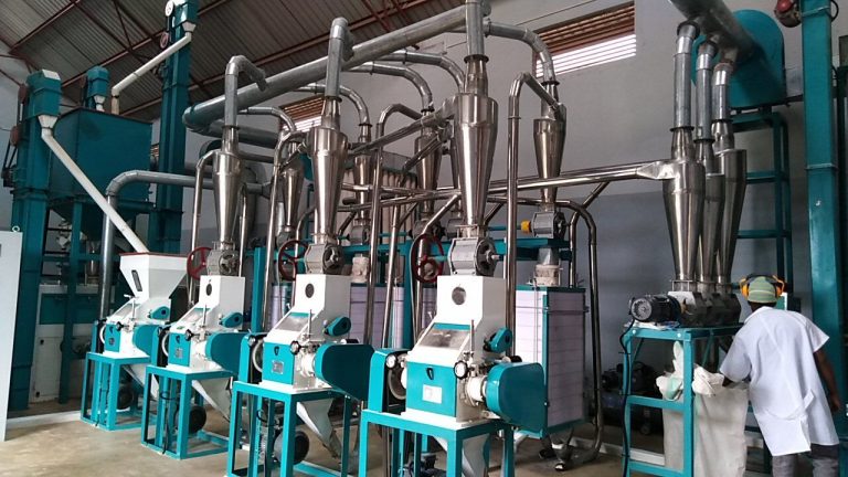 maize flour milling plant 