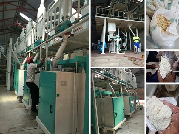 maize flour milling plant 