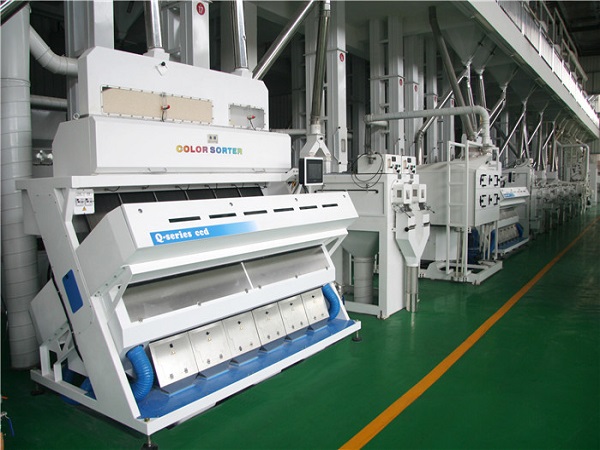 color sorter in rice mill plant 