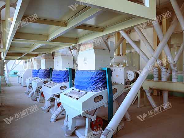 corn grits, flour and germ extraction line.jpg