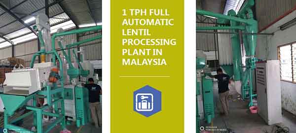 Lentil Processing Plant