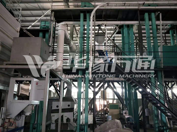 soybean cleaning and peeling project _副本.jpg
