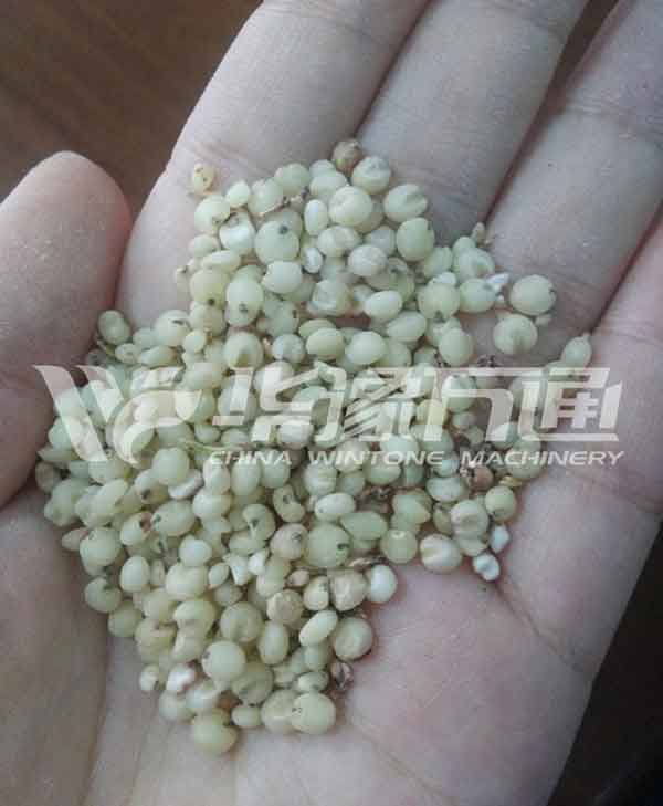Sorghum Cleaning and Milling Line