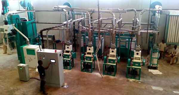 30T maize flour processing plant