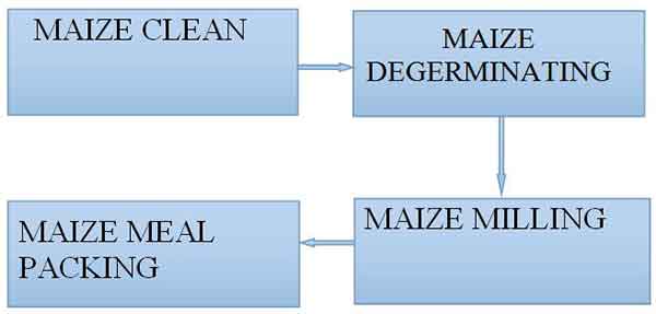 30T/24h maize flour processing machine