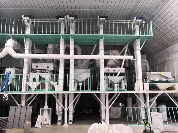 grain beans pulses cleaning line 