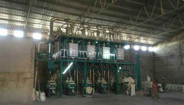 1T/Hour Maize Flour Making Line in Uganda