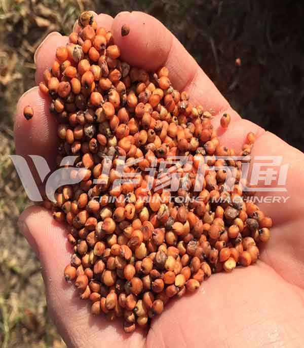 Sorghum Cleaning and Milling Line