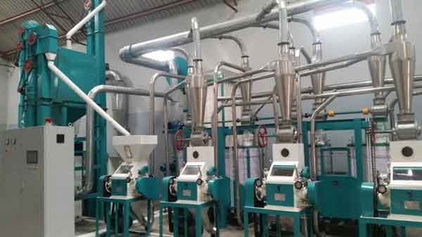 1T/Hour Maize Flour Making Line in Uganda