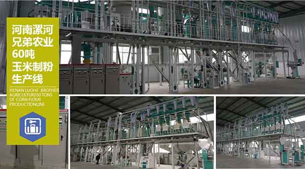 Large Scale Maize Milling Plant