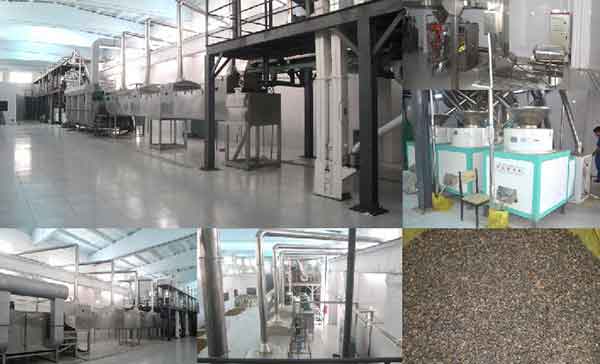 buckwheat tea processing 2.jpg