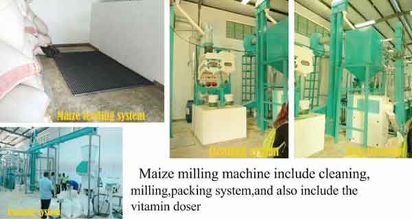 30T maize flour processing plant