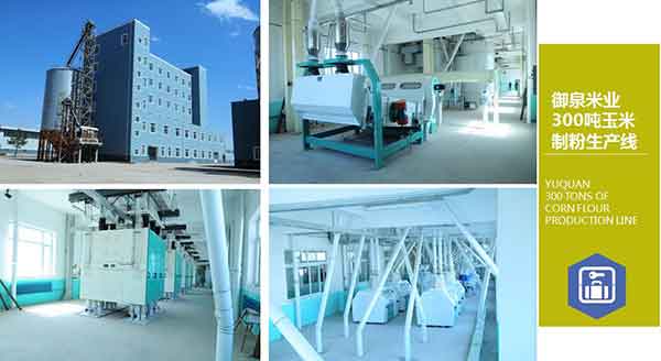 Large Scale Maize Milling Plant