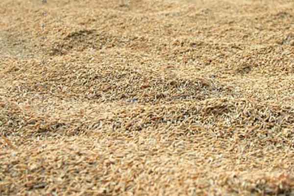 rice mill unit